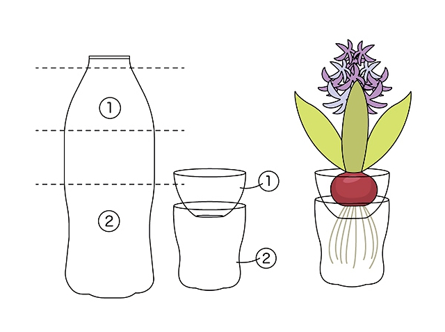 No 914 秋植えの球根を植えてみよう 保育のひきだし こどもの可能性を引き出すアイデア集