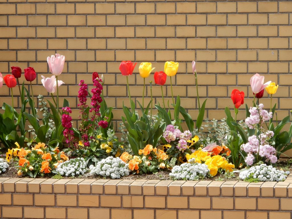 4月 花々に元気をもらう春 保育のひきだし こどもの可能性を引き出すアイデア集